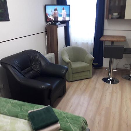 Apartment Ap 1 Im Zentrum Steyr, Bestrooms Eu المظهر الخارجي الصورة