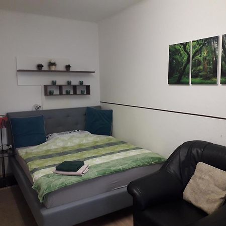 Apartment Ap 1 Im Zentrum Steyr, Bestrooms Eu المظهر الخارجي الصورة