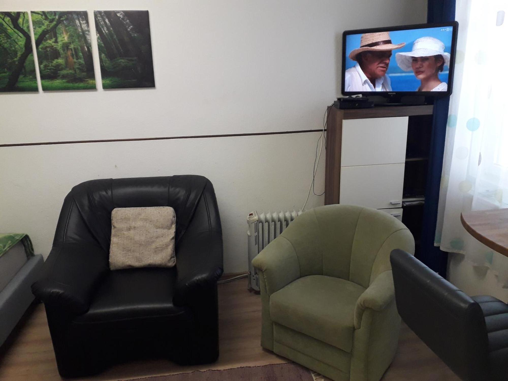 Apartment Ap 1 Im Zentrum Steyr, Bestrooms Eu المظهر الخارجي الصورة