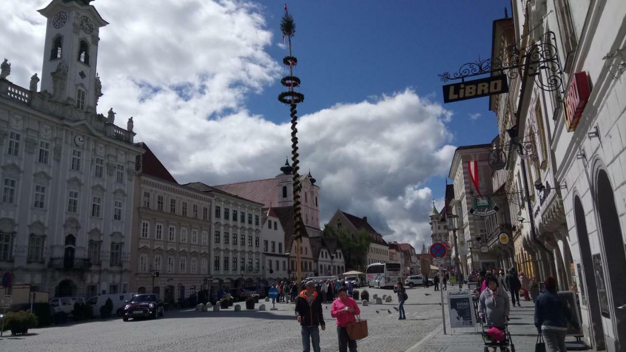 Apartment Ap 1 Im Zentrum Steyr, Bestrooms Eu المظهر الخارجي الصورة
